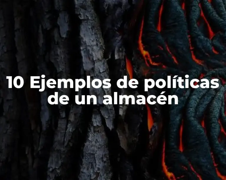 10 Ejemplos de políticas de un almacén