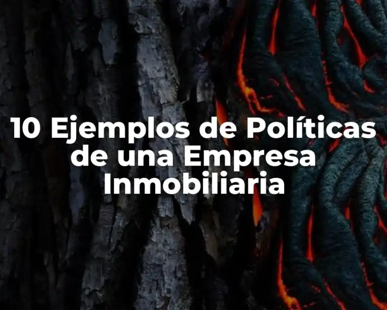10 Ejemplos de Políticas de una Empresa Inmobiliaria