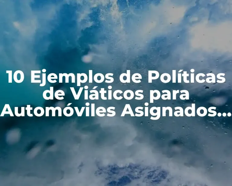 10 Ejemplos de Políticas de Viáticos para Automóviles Asignados a Empleados