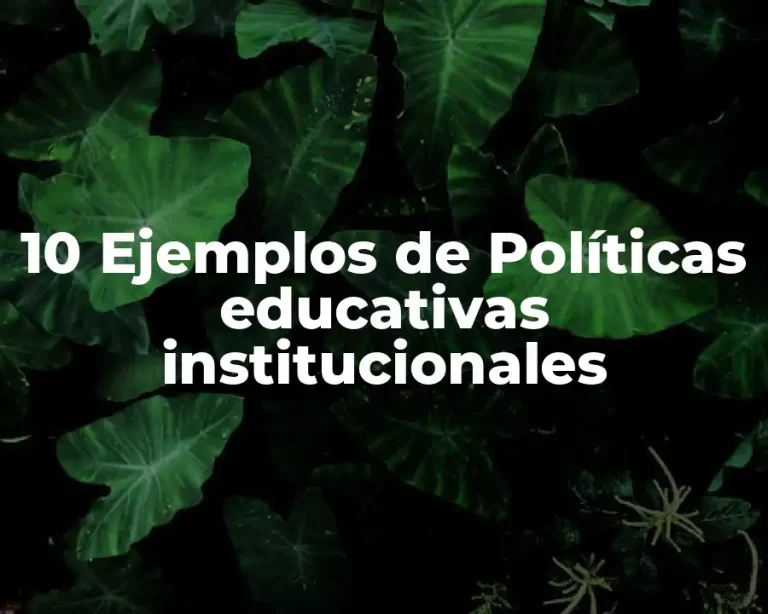 10 Ejemplos de Políticas educativas institucionales