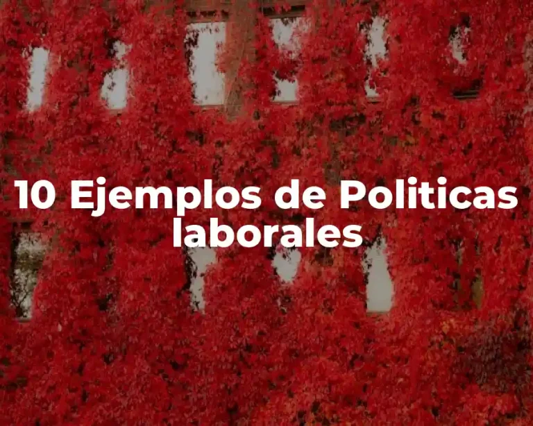 10 Ejemplos de Politicas laborales