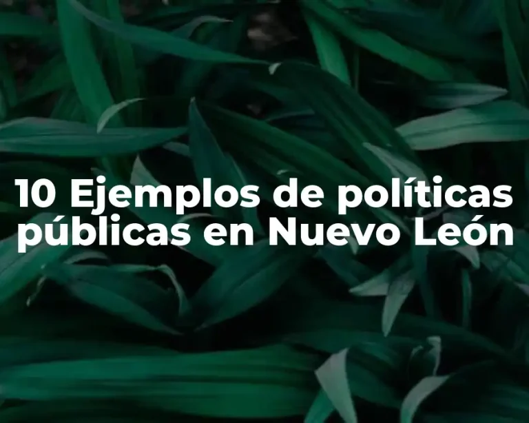 10 Ejemplos de políticas públicas en Nuevo León