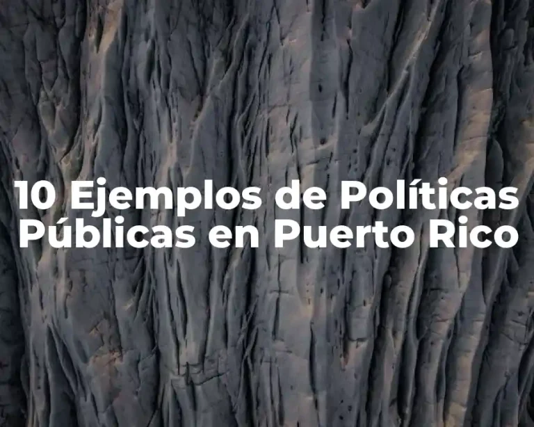 10 Ejemplos de Políticas Públicas en Puerto Rico