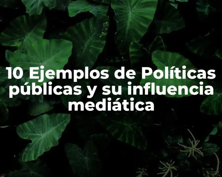 10 Ejemplos de Políticas públicas y su influencia mediática