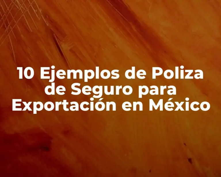 10 Ejemplos de Poliza de Seguro para Exportación en México