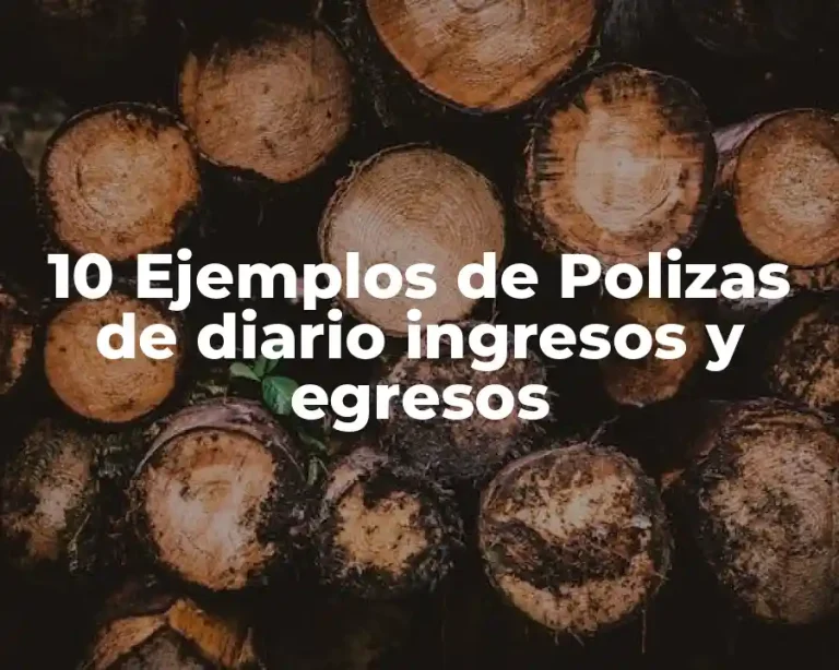 10 Ejemplos de Polizas de diario ingresos y egresos