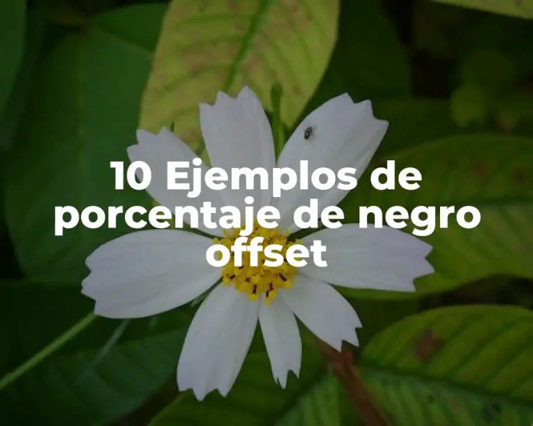 10 Ejemplos de porcentaje de negro offset