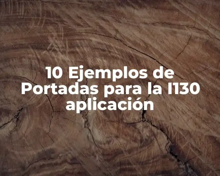 10 Ejemplos de Portadas para la I130 aplicación