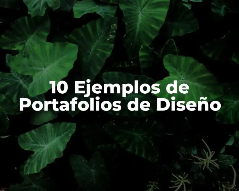 10 Ejemplos de Portafolios de Diseño