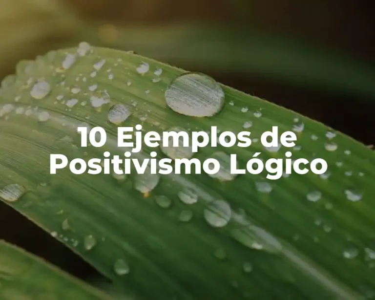 10 Ejemplos de Positivismo Lógico