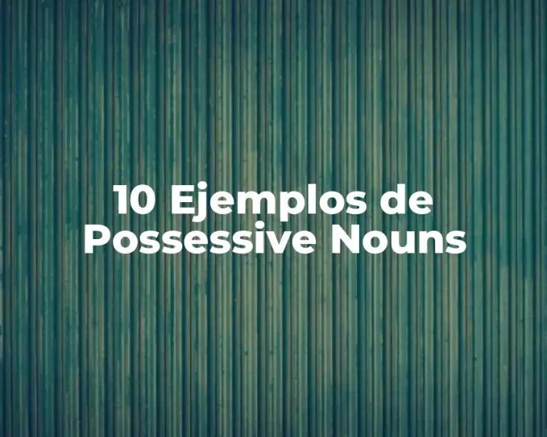 10 Ejemplos de Possessive Nouns