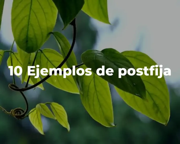 10 Ejemplos de postfija