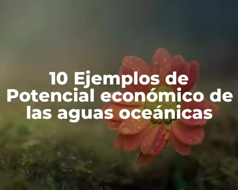 10 Ejemplos de Potencial económico de las aguas oceánicas