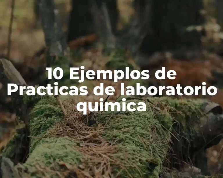 10 Ejemplos de Practicas de laboratorio quimica