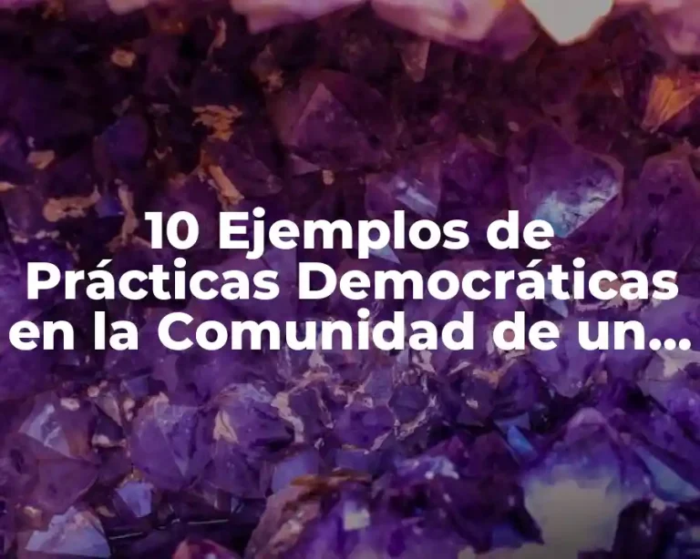 10 Ejemplos de Prácticas Democráticas en la Comunidad de un Niño