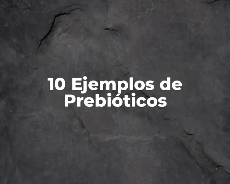 10 Ejemplos de Prebióticos