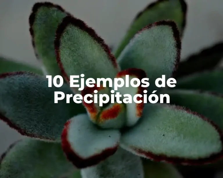 10 Ejemplos de Precipitación