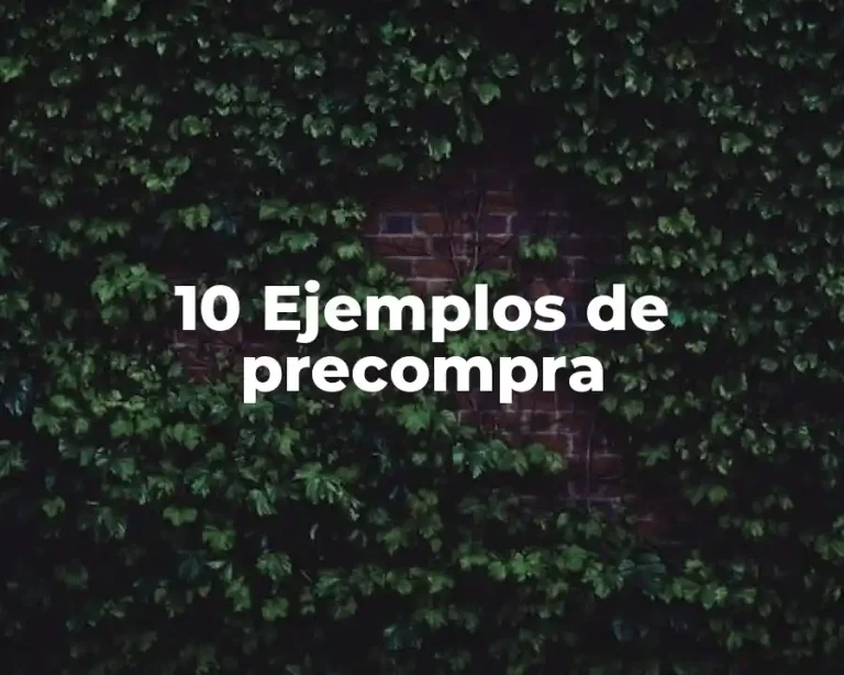 10 Ejemplos de precompra