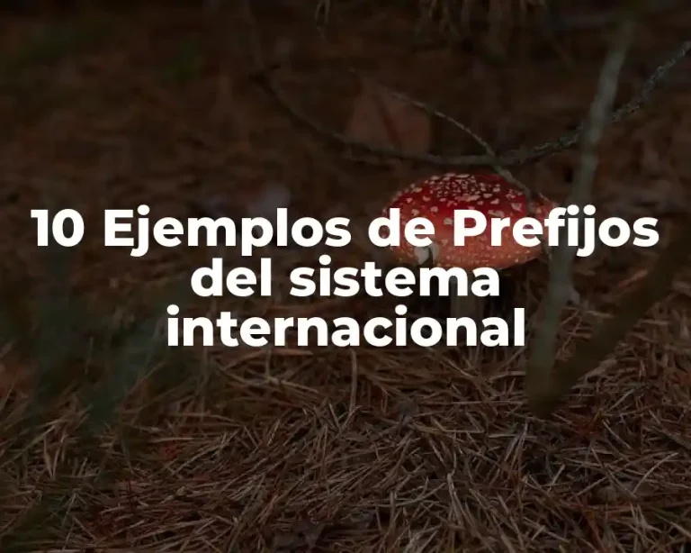 10 Ejemplos de Prefijos del sistema internacional