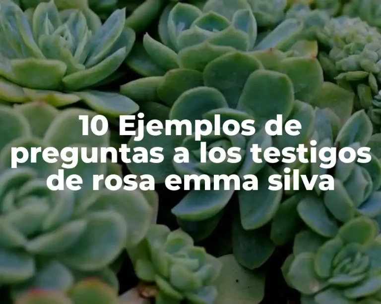 10 Ejemplos de preguntas a los testigos de rosa emma silva