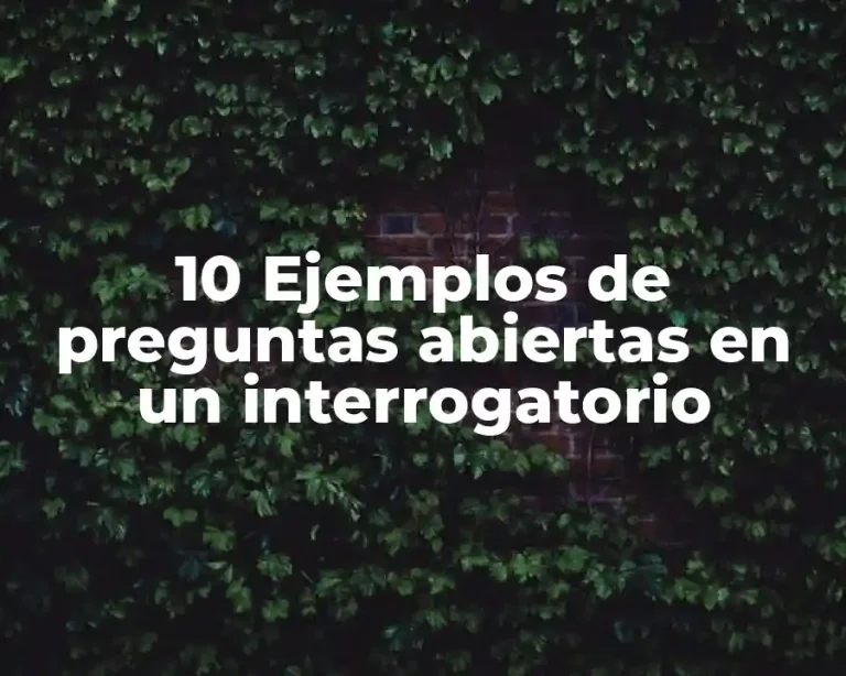 10 Ejemplos de preguntas abiertas en un interrogatorio