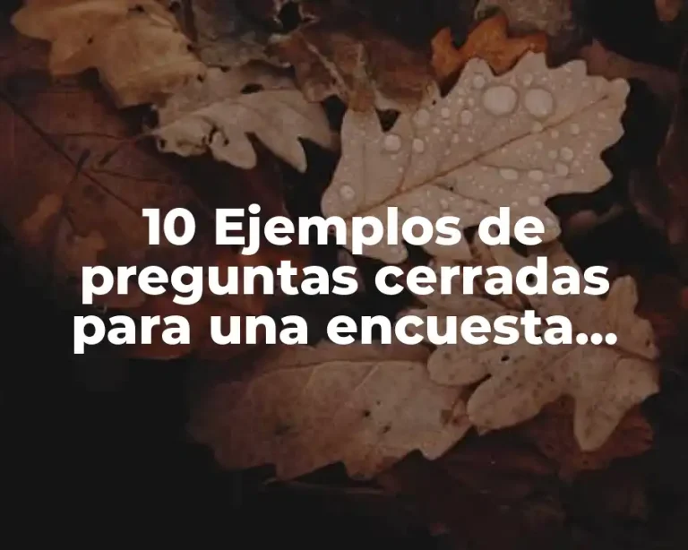10 Ejemplos de preguntas cerradas para una encuesta sobre el reciclaje, Definición, Diferencias y para que sirve