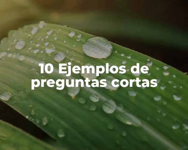 10 Ejemplos de preguntas cortas