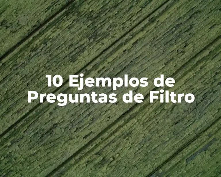 10 Ejemplos de Preguntas de Filtro