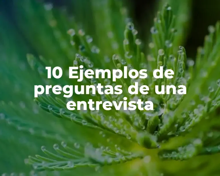 10 Ejemplos de preguntas de una entrevista