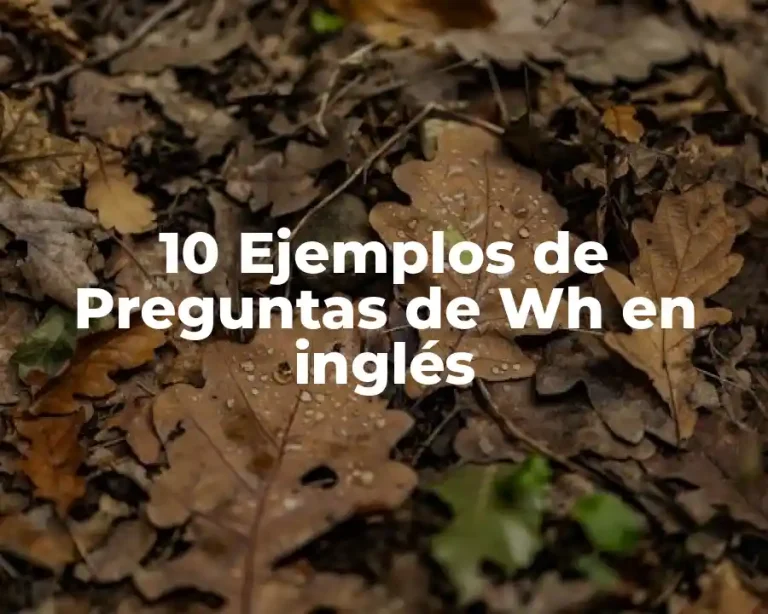 10 Ejemplos de Preguntas de Wh en inglés