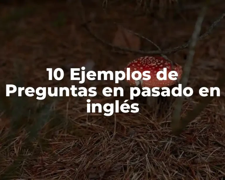 10 Ejemplos de Preguntas en pasado en inglés