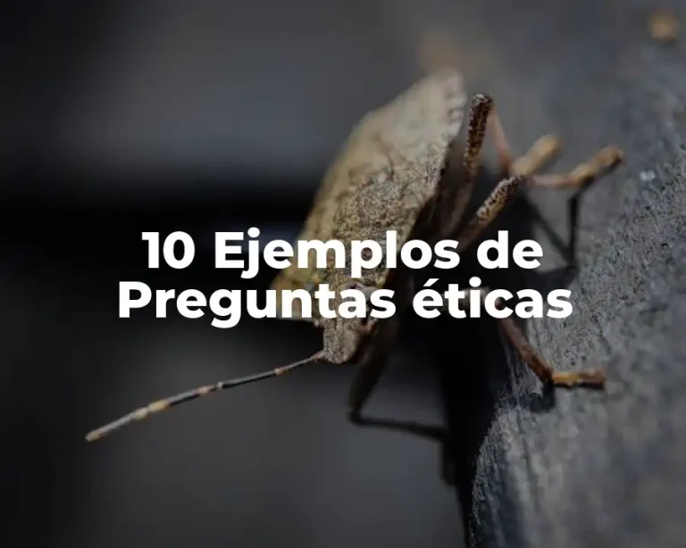 10 Ejemplos de Preguntas éticas