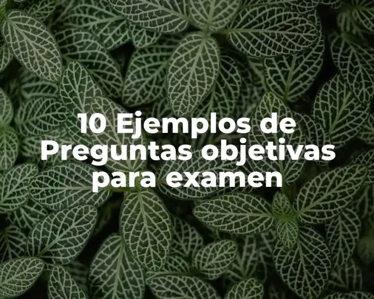 10 Ejemplos de Preguntas objetivas para examen