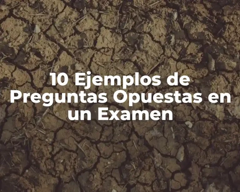 10 Ejemplos de Preguntas Opuestas en un Examen