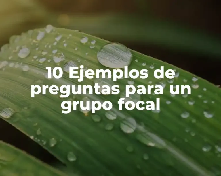10 Ejemplos de preguntas para un grupo focal