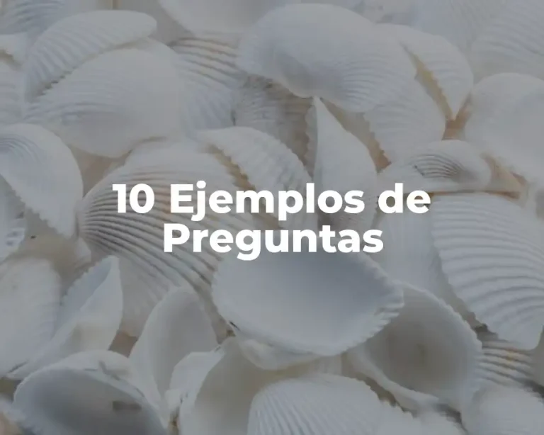10 Ejemplos de Preguntas