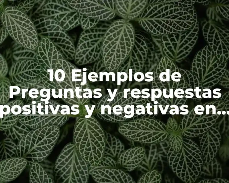 10 Ejemplos de Preguntas y respuestas positivas y negativas en inglés