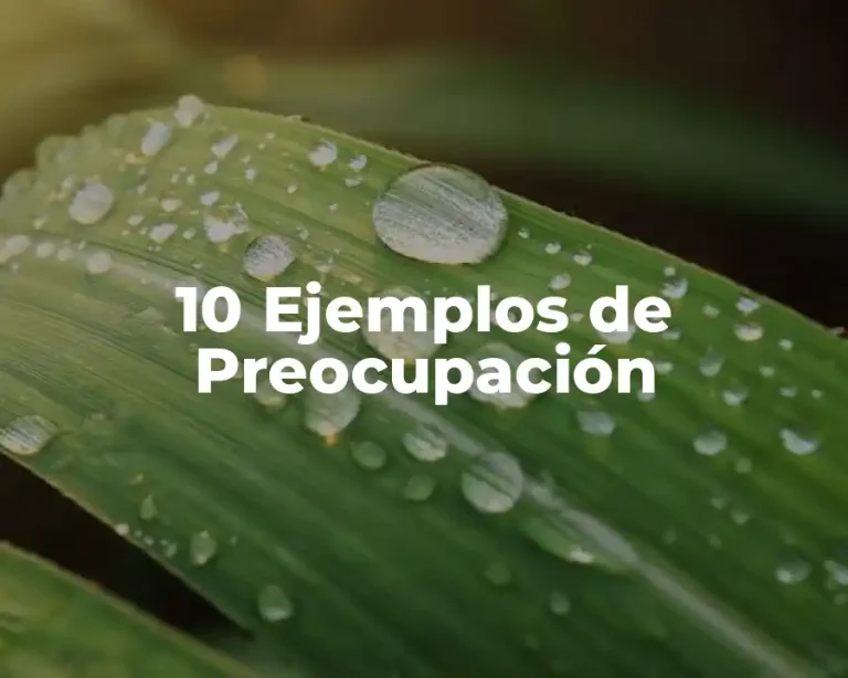 10 Ejemplos de Preocupación