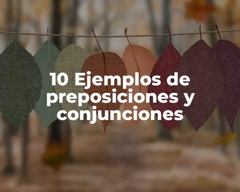 10 Ejemplos de preposiciones y conjunciones