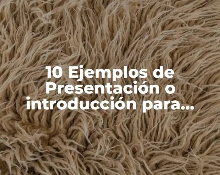 10 Ejemplos de Presentación o introducción para memoria de titulación diseño