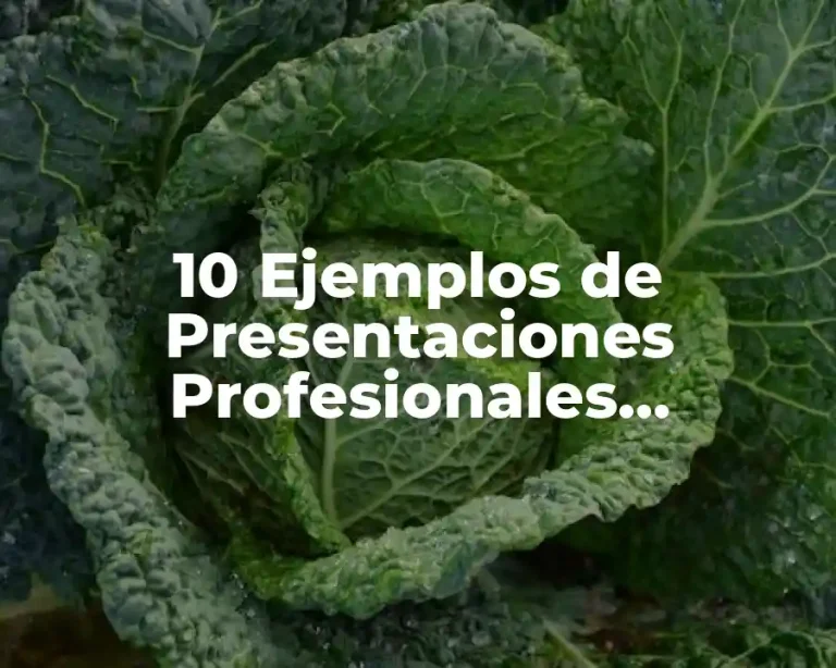 10 Ejemplos de Presentaciones Profesionales, Definición, Diferencias y para que sirve