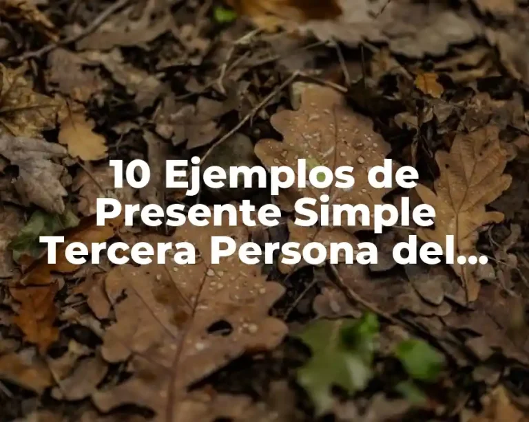 10 Ejemplos de Presente Simple Tercera Persona del Singular en Inglés