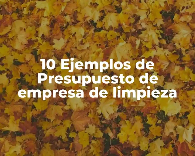 10 Ejemplos de Presupuesto de empresa de limpieza