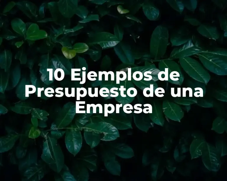 10 Ejemplos de Presupuesto de una Empresa