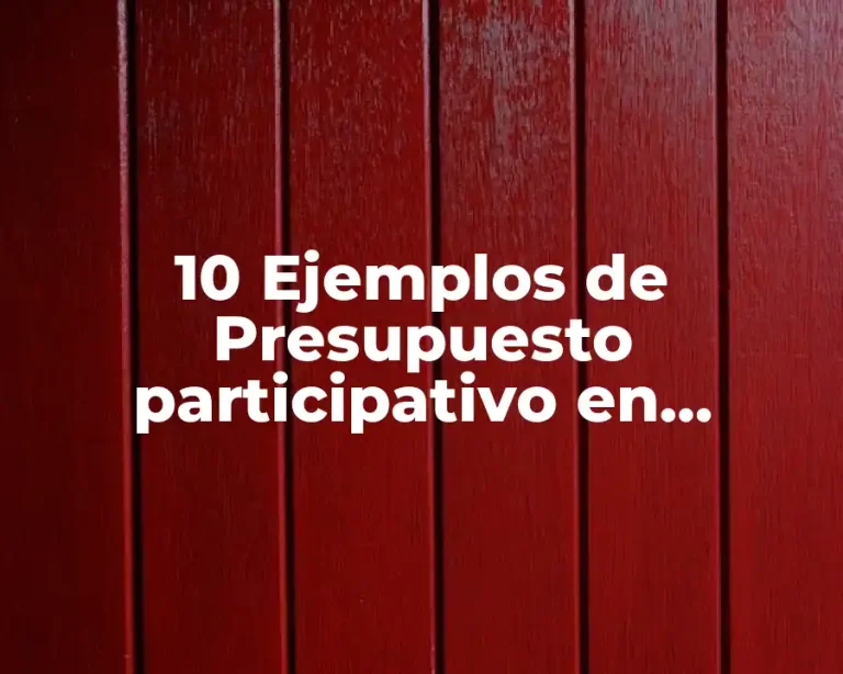 10 Ejemplos de Presupuesto participativo en Argentina