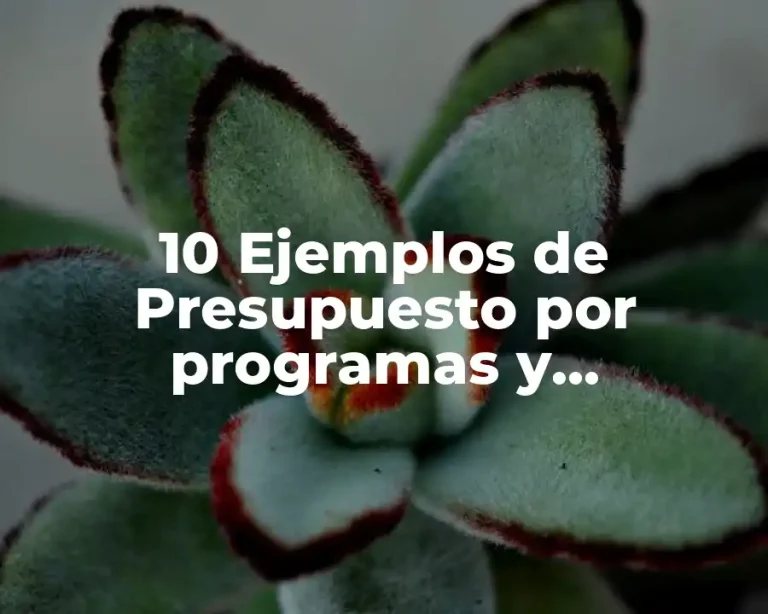 10 Ejemplos de Presupuesto por programas y actividades
