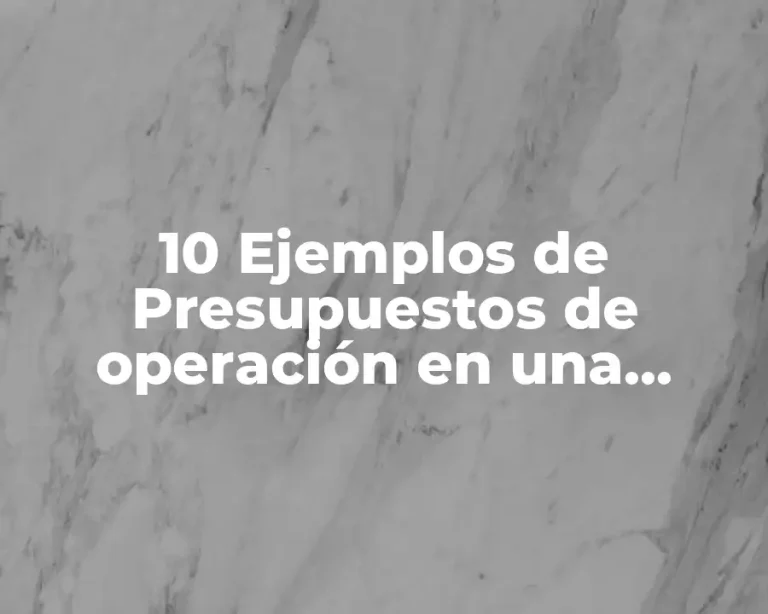 10 Ejemplos de Presupuestos de operación en una empresa