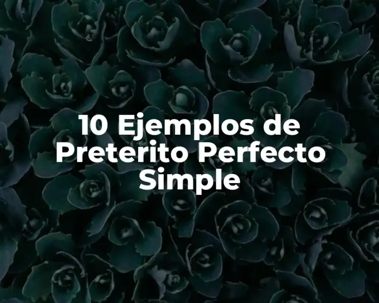 10 Ejemplos de Preterito Perfecto Simple