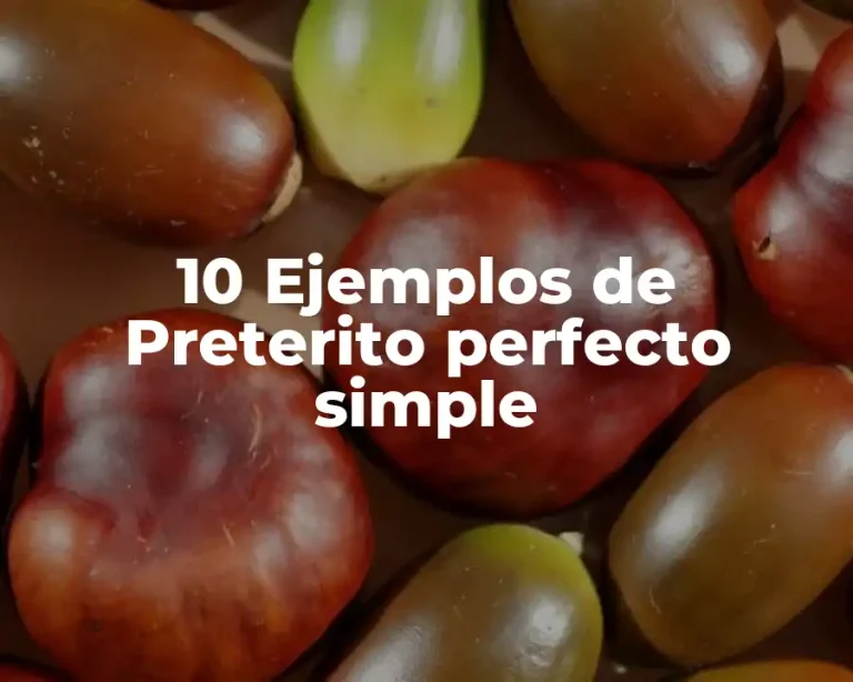 10 Ejemplos de Preterito perfecto simple