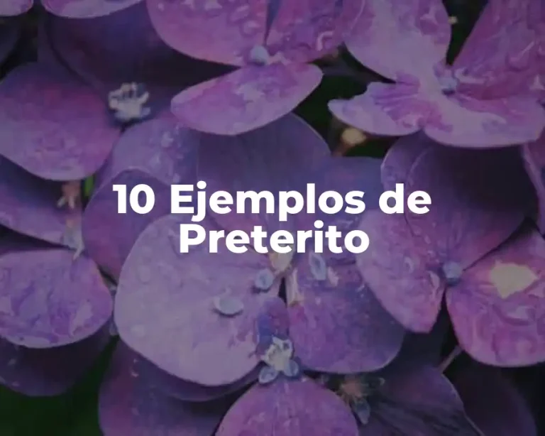 10 Ejemplos de Preterito